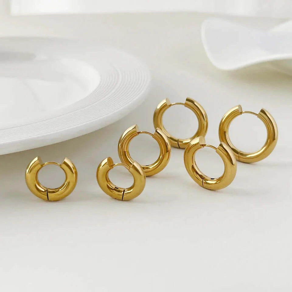 Eclips earrings