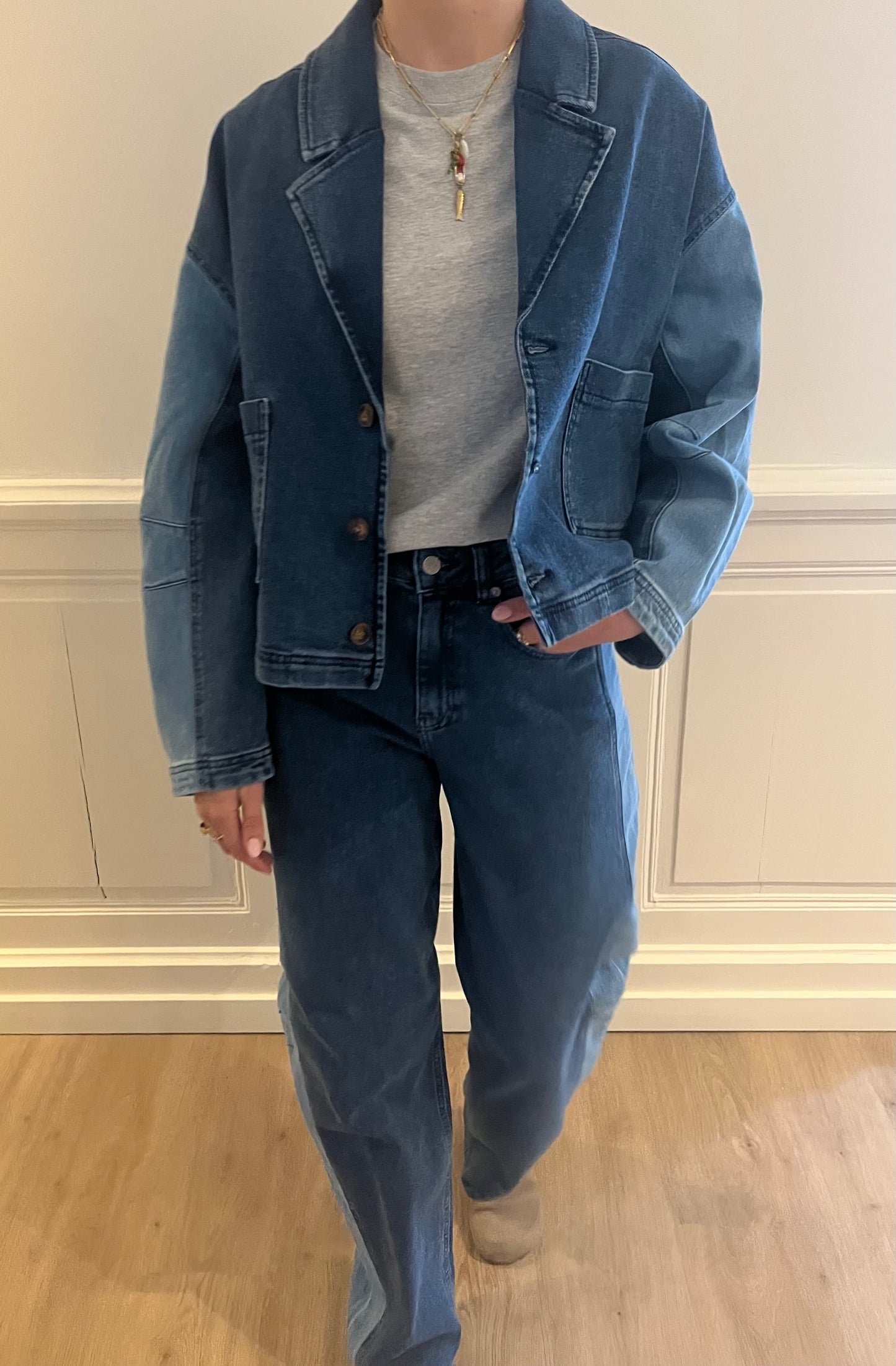 Ayla denim pants two tones